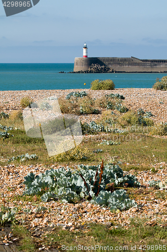 Image of Newhaven Lightouse and Shore