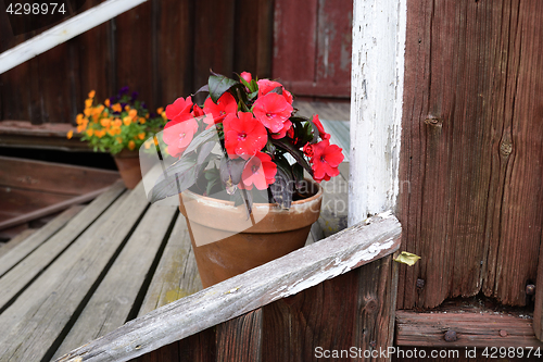 Image of flowers in a pot on the porch of a wooden house, Finland