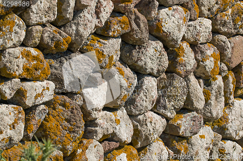 Image of Wall and Lichen