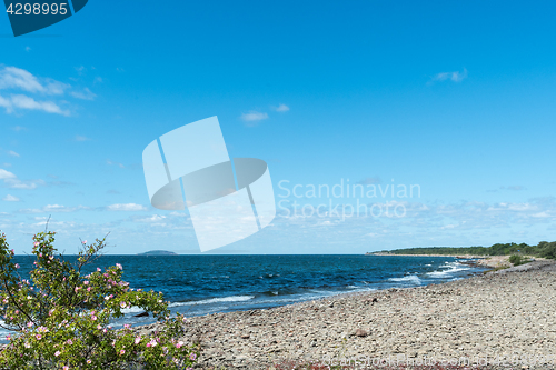 Image of Coastline at the swedish island Oland