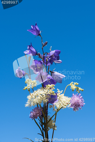 Image of Bouquet of summer wildflowers