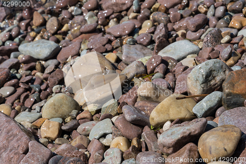 Image of Wet pebbles by the coast