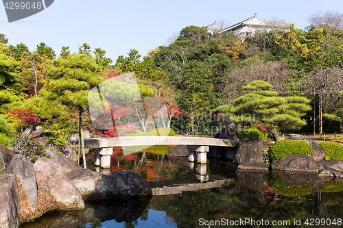 Image of Autumn garden in Japan