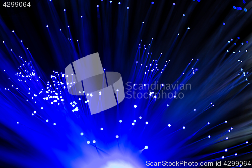 Image of Optical fibres in blue