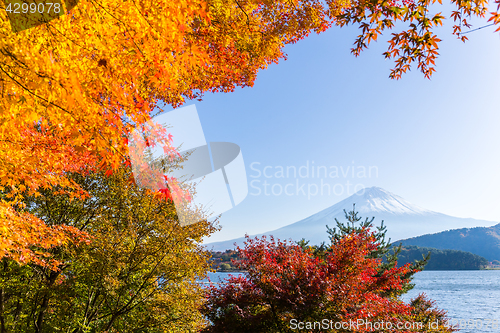 Image of Mt. Fuji