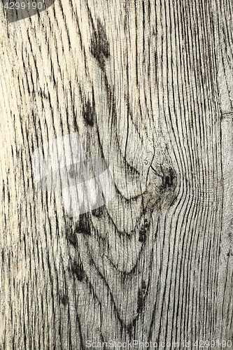 Image of details on wood plank