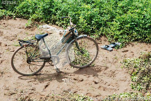 Image of Old bicycle in the field