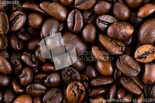 Image of Brown coffee bean texture