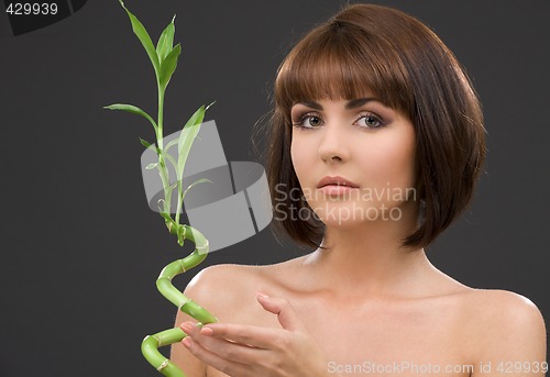 Image of brunette with bamboo over grey