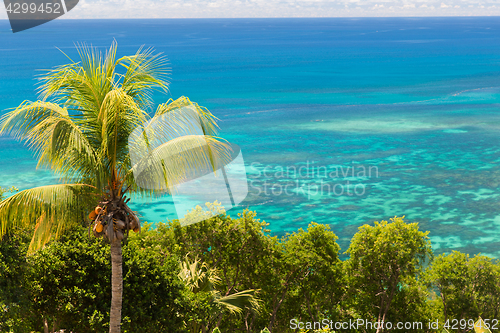 Image of view to indian ocean from island with palm tree