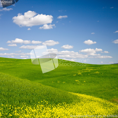 Image of Flowered Landscape