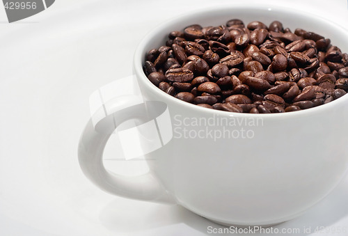 Image of Simple White Coffee Cup Filled With Roasted Beans