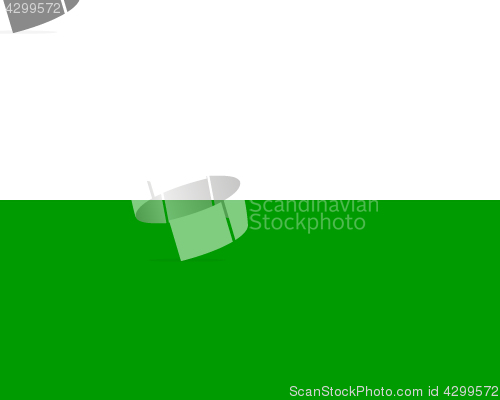 Image of Colored flag of Saxony