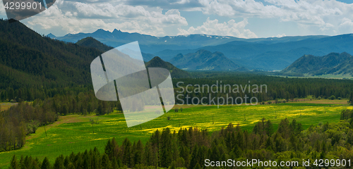 Image of Beauty colors of summer Altai