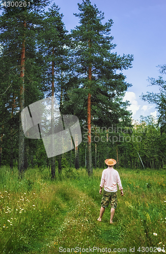 Image of Man in Summer Forest