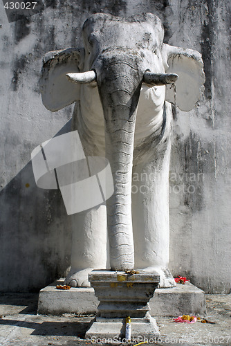 Image of White elephant