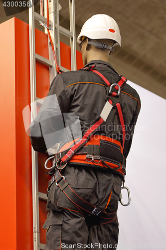 Image of Safety harness