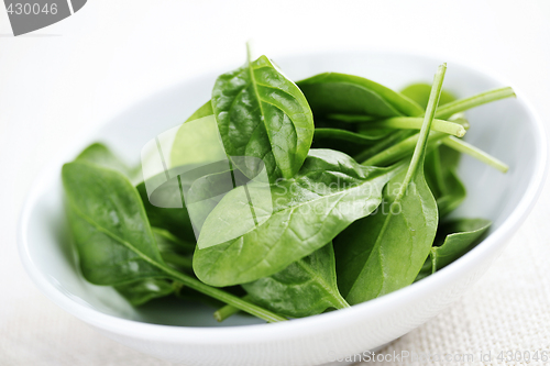 Image of baby spinach