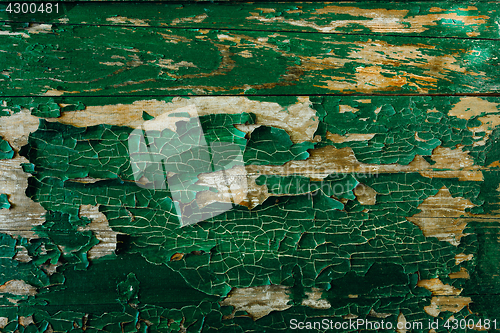 Image of Old wooden green background