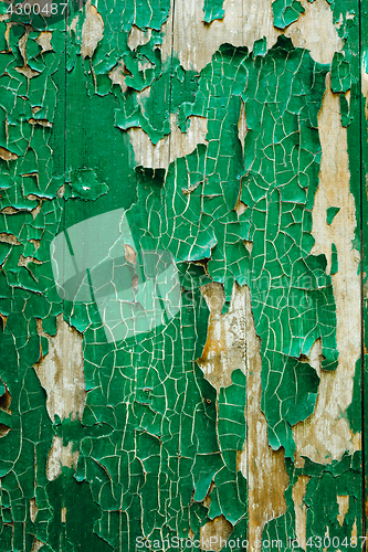 Image of Old wooden green background