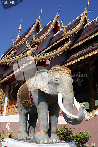 Image of Elephant