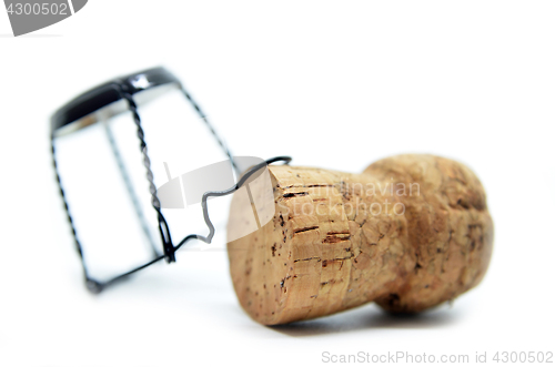 Image of Cork from champagne bottle