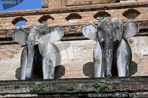 Image of Elephants