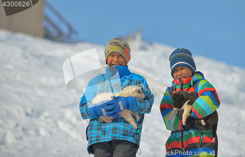 Image of Greenland dog puppies and kids in  Greenland- 07 April 2013