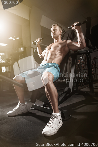 Image of handsome fitness man weightlifting workout in gym
