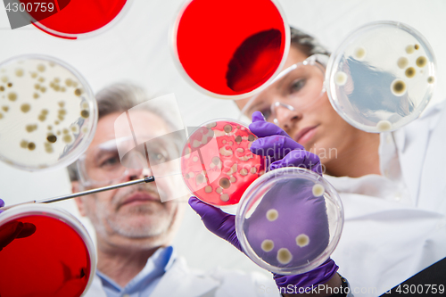 Image of Life scientists researching in the health care laboratory.