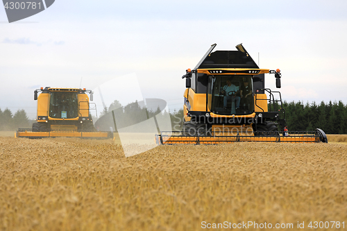 Image of Two Yellow New Holland Combines Harvest Barley