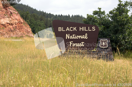 Image of Black Hills National Forest Roadside Monument Sign South Dakota