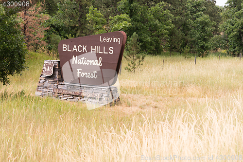 Image of Black Hills National Forest Roadside Monument Sign South Dakota