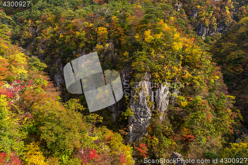 Image of Autumn Naruko canyon