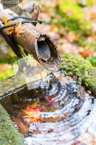 Image of Water bamboo fountain with maple leaves