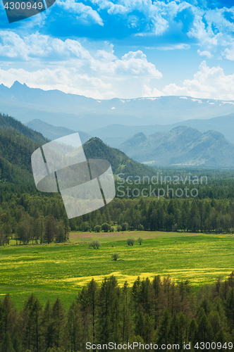 Image of Beauty colors of summer Altai