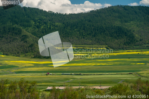 Image of Beauty colors of summer Altai