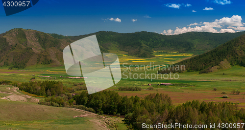 Image of Beauty colors of summer Altai