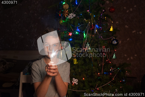 Image of Family new year