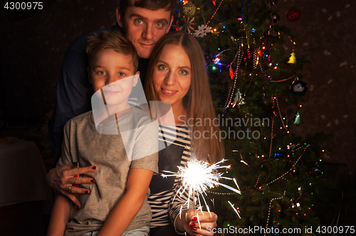 Image of Family new year