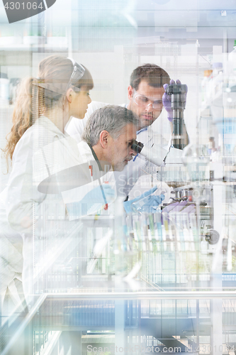 Image of Health care researchers working in scientific laboratory.