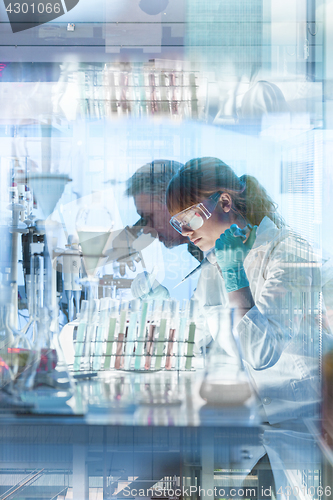 Image of Health care researchers working in scientific laboratory.