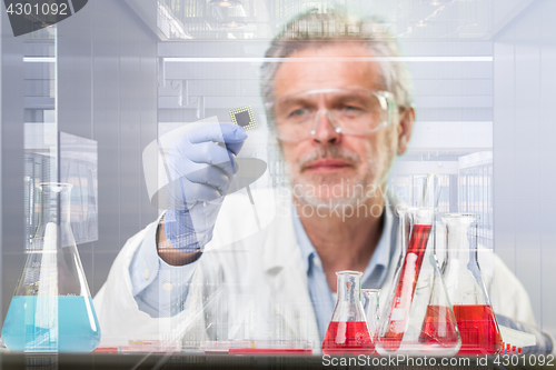 Image of Senior life science research researching in modern scientific laboratory.