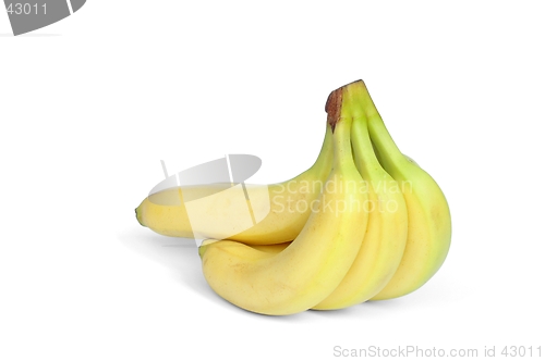 Image of Bananas