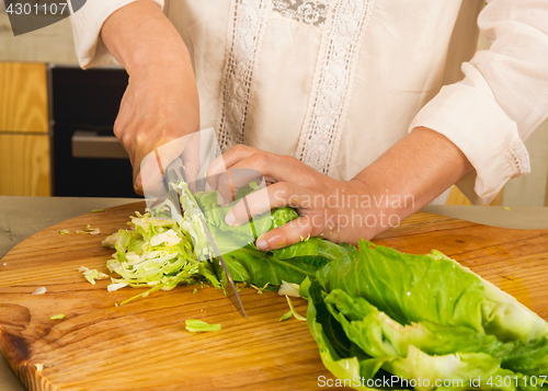 Image of Chopped cabbage. 