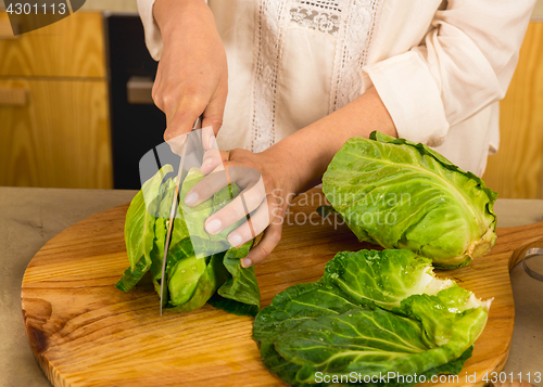 Image of Chopped cabbage. 