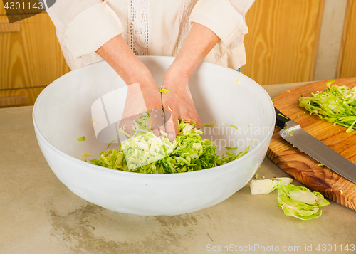 Image of Cabbage kimchi and sauerkraut 