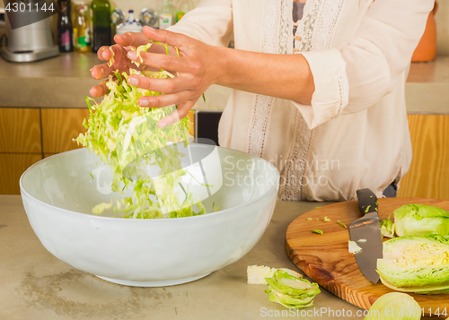 Image of Cabbage kimchi and sauerkraut 