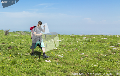 Image of Man Hiking in Green Mountains