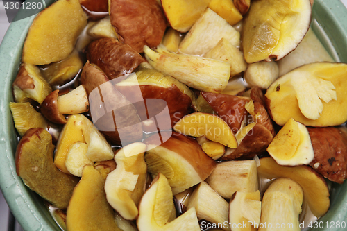 Image of cepes for pickling or marinading